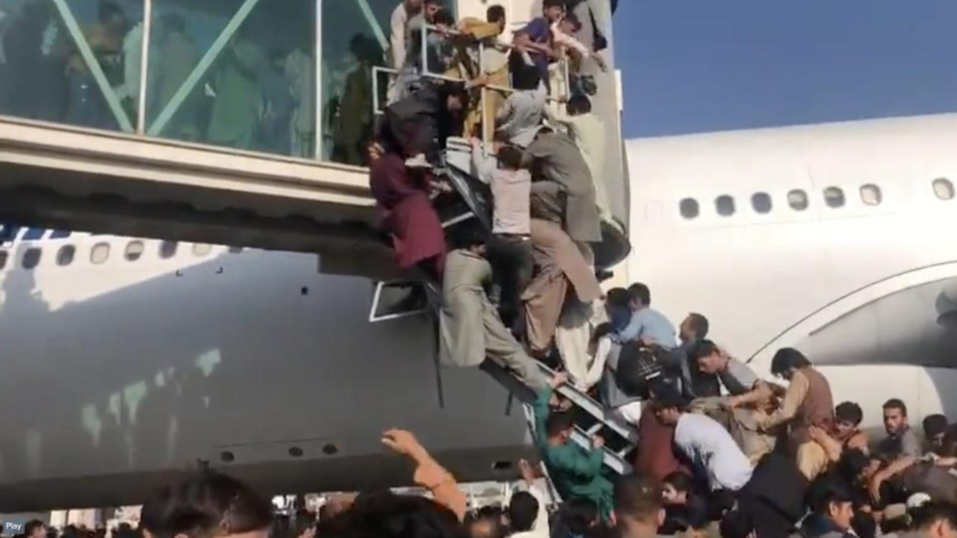 Scene șocante pe aeroportul din Kabul (NicolaCareem/Twitter)