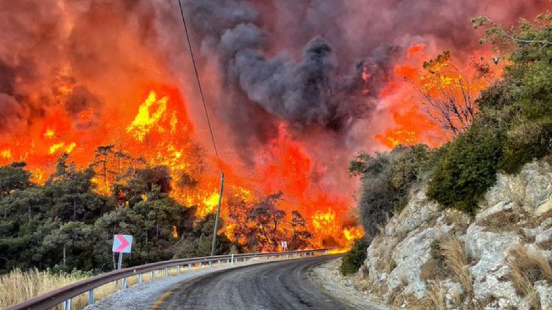 Foto arhivă. Statul care declară starea de criză din cauza incendiilor de pădure