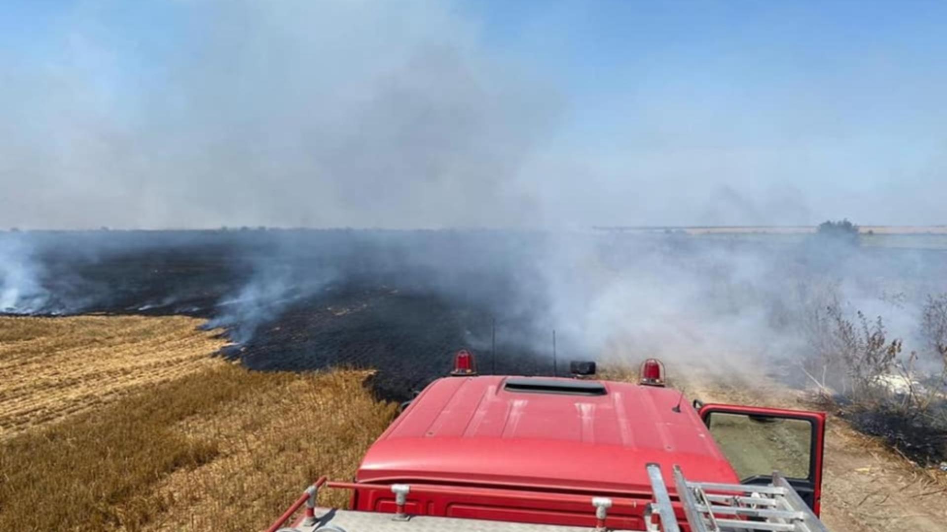 Incendiu de vegetație uscată, în Bistrița-Năsăud
