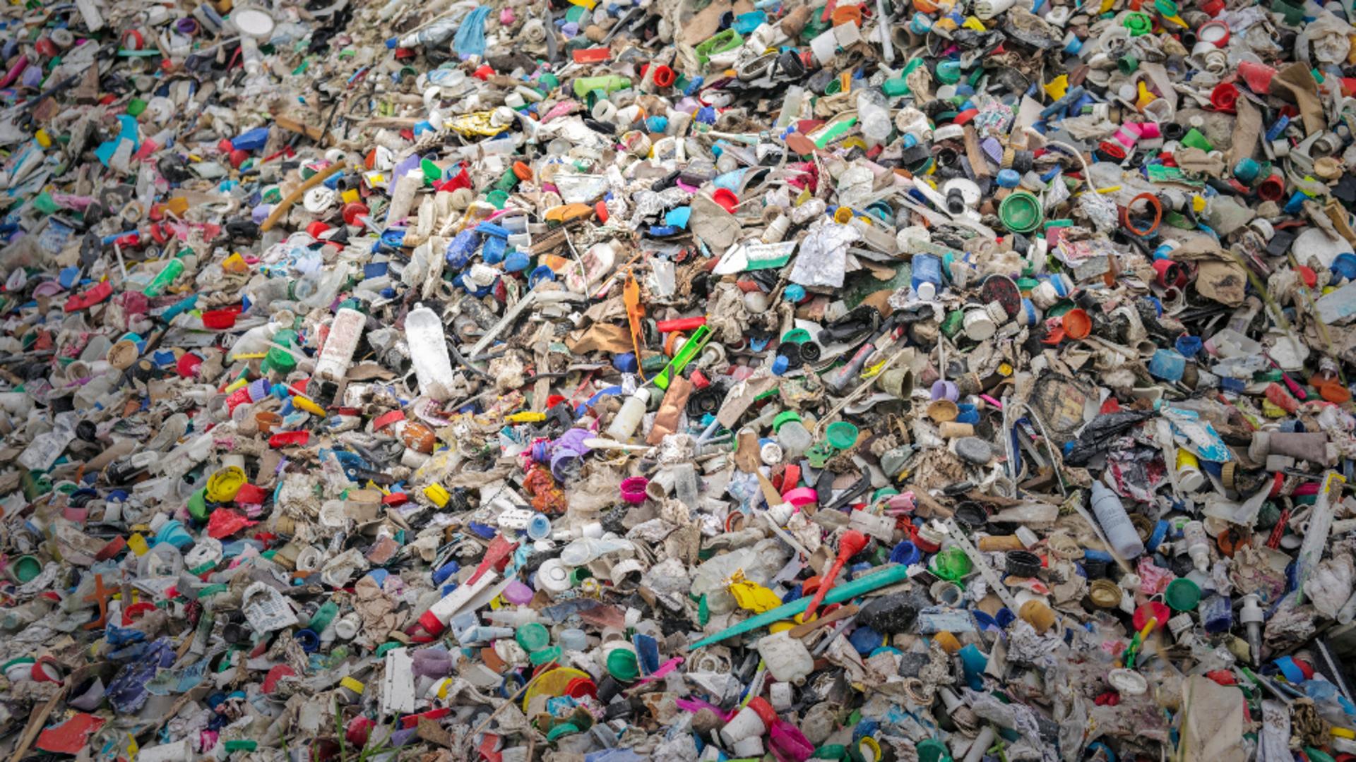 Deșurile din plastic ucid flora și fauna marină. Foto/Profimedia