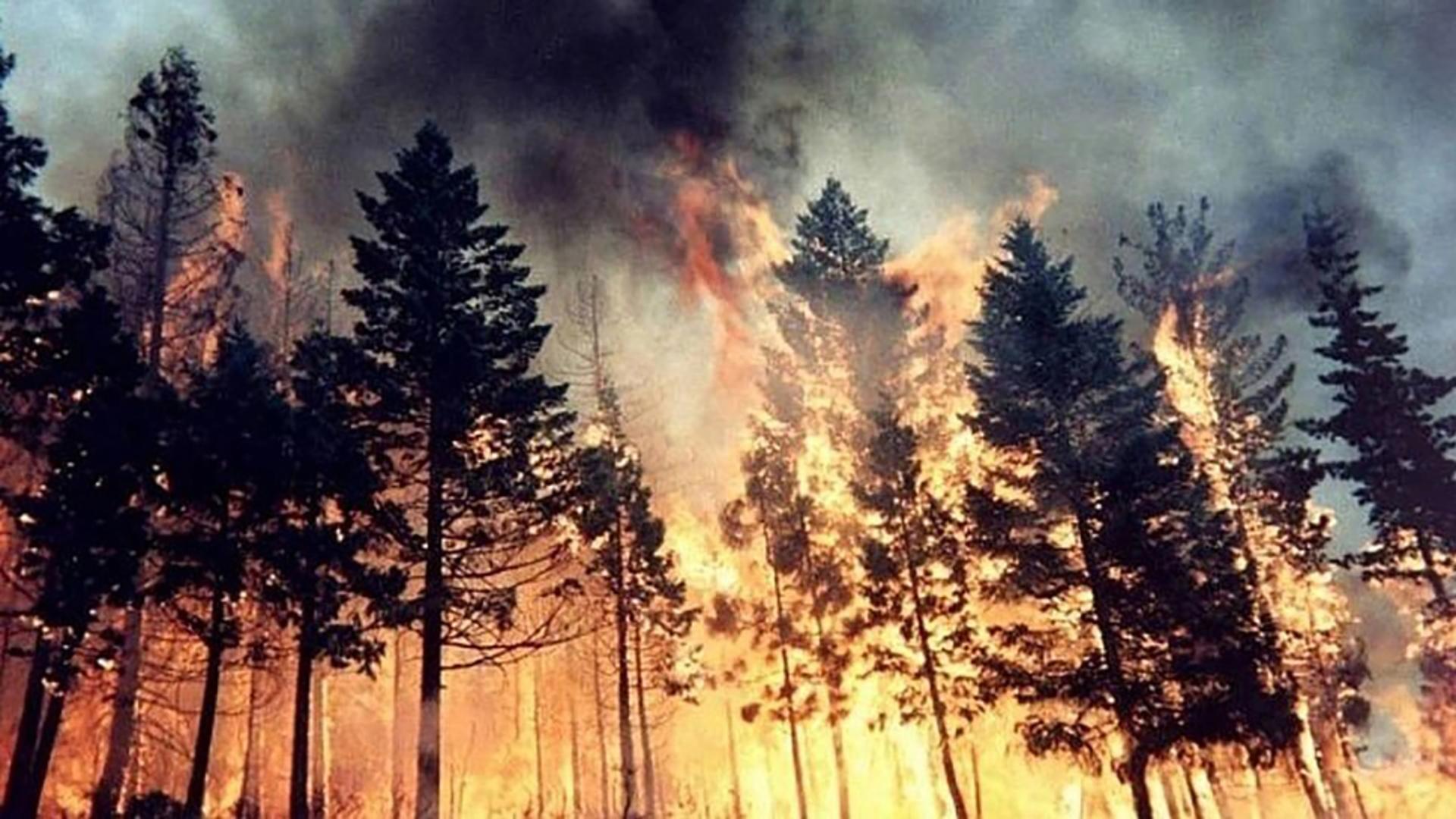 Mai multe regiuni din Rusia, afectate de incendii extreme / Foto: Profi Media, arhivă