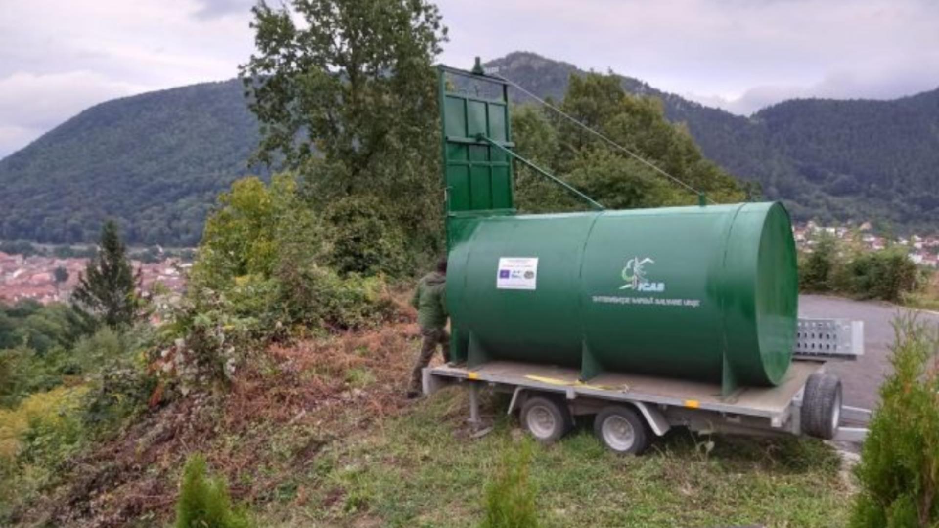 Container-capcană pentru prinderea urșilor, în Brașov