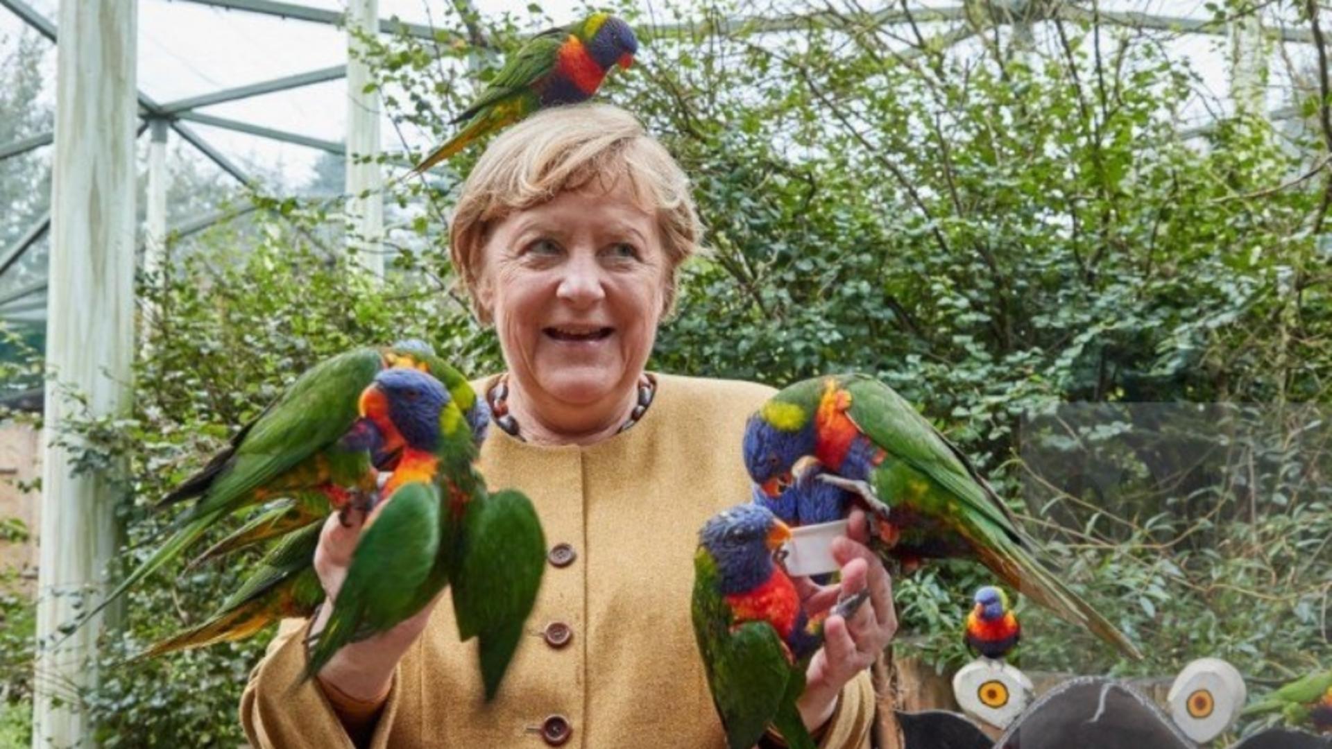 Angela Merkel într-un parc de păsări (foto: Profimedia)