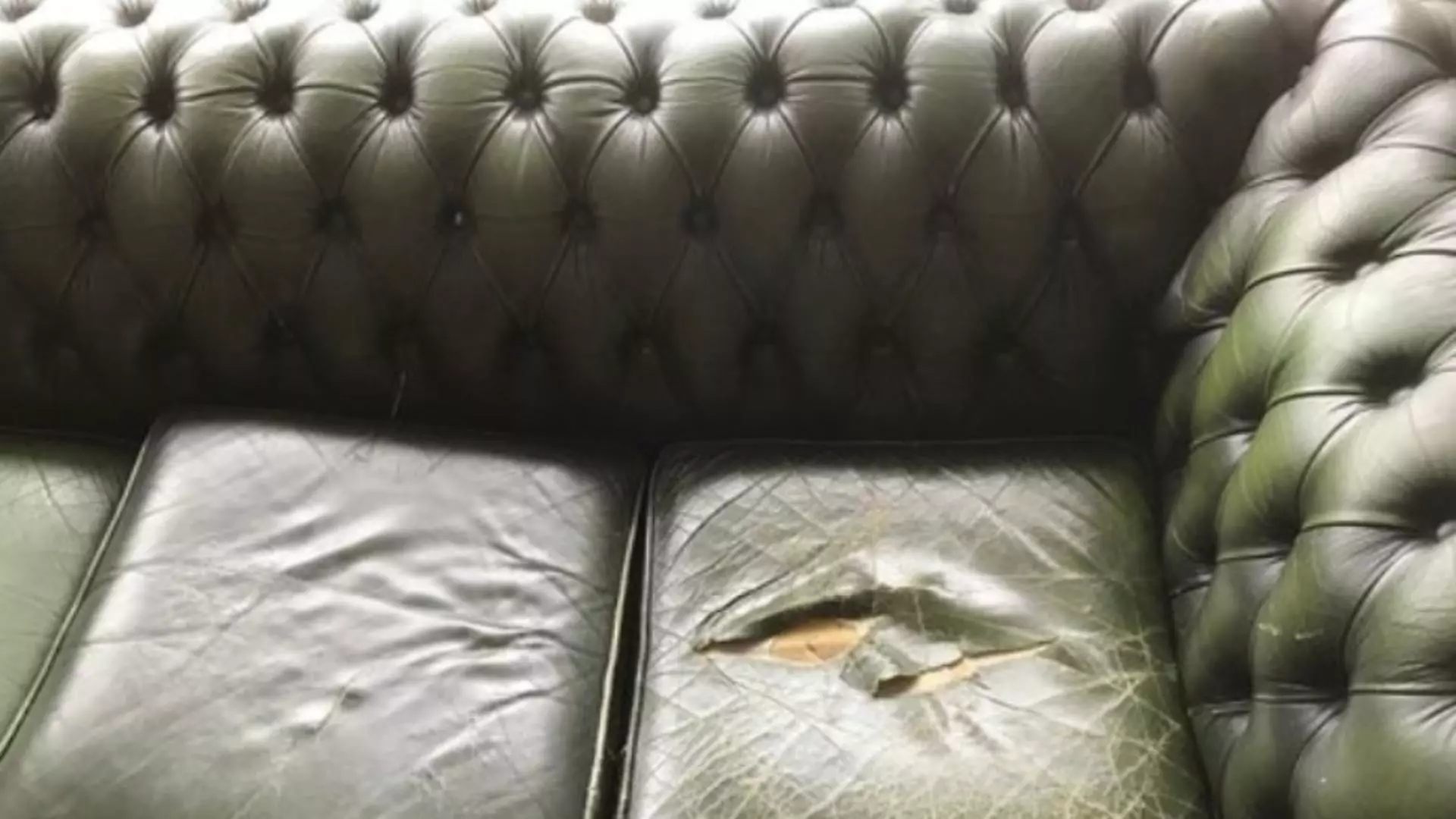 Descoperire fabuloasă într-o canapea luată de la un târg de vechituri