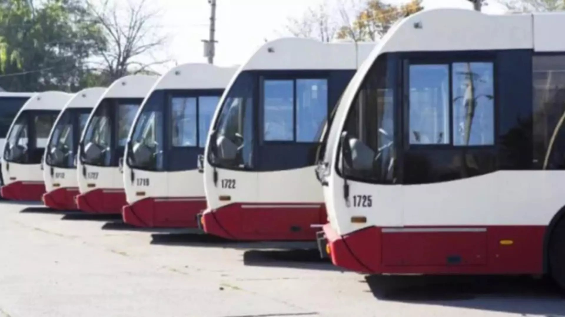 transportul public local, paralizat