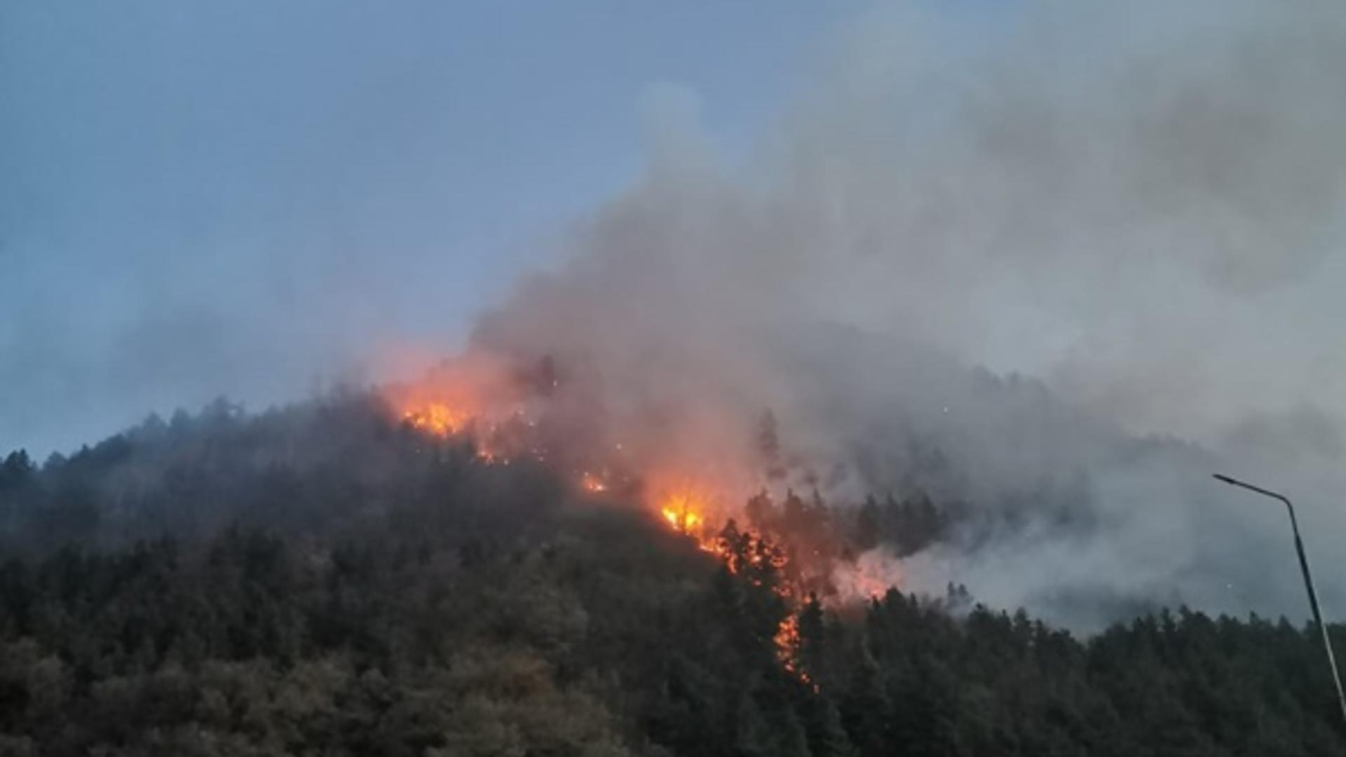 ZECI de hectare de pădure ÎN FLĂCĂRI! Pompierii luptă de 3 zile să stingă incendiul uriaș de la Oituz