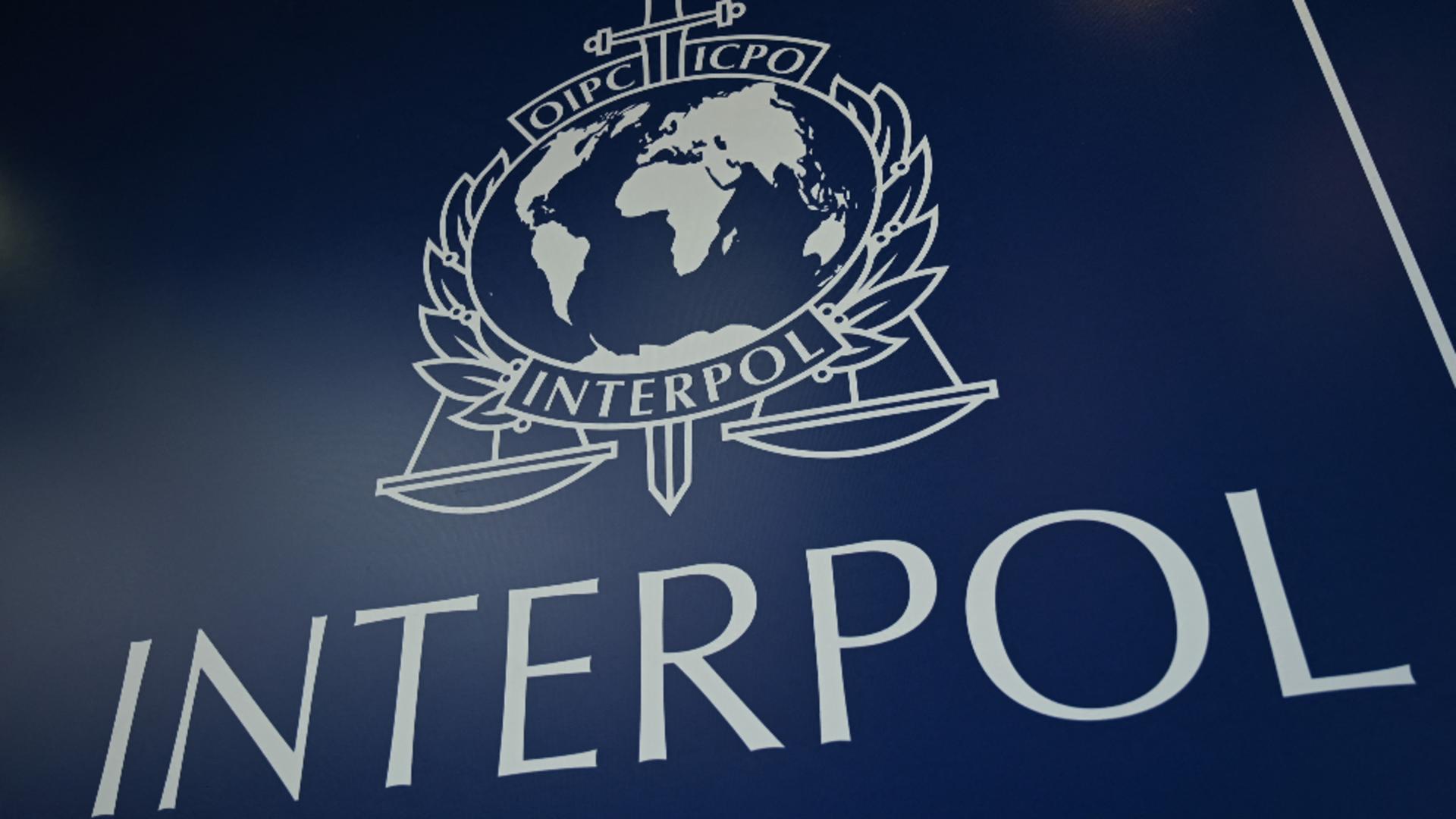Candidați cu probleme pentru șefia Interpol. Foto/Profimedia