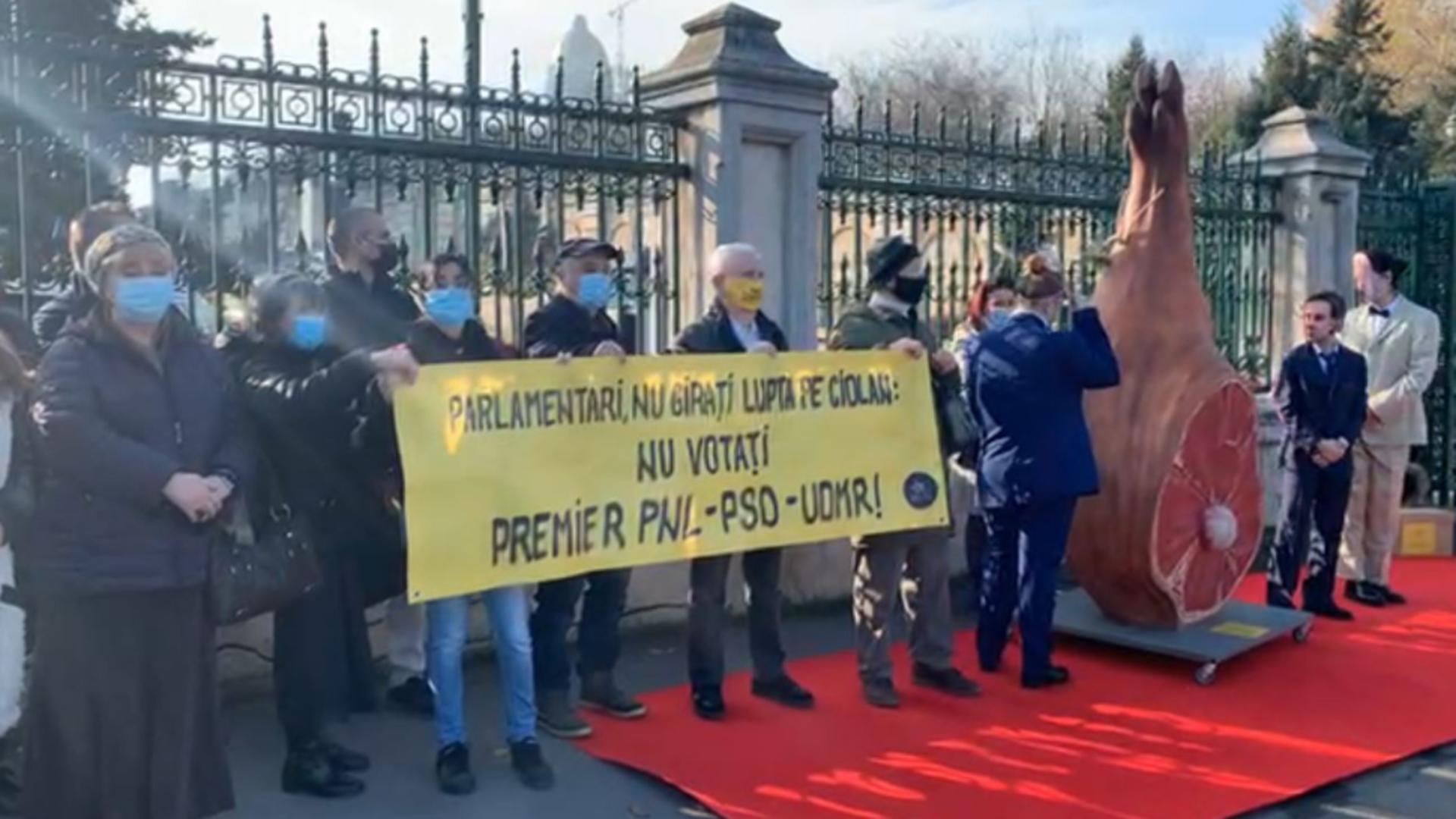 Protest în fața Parlamentului, în ziua audierilor miniștrilor lui Ciucă. Foto/Captură video