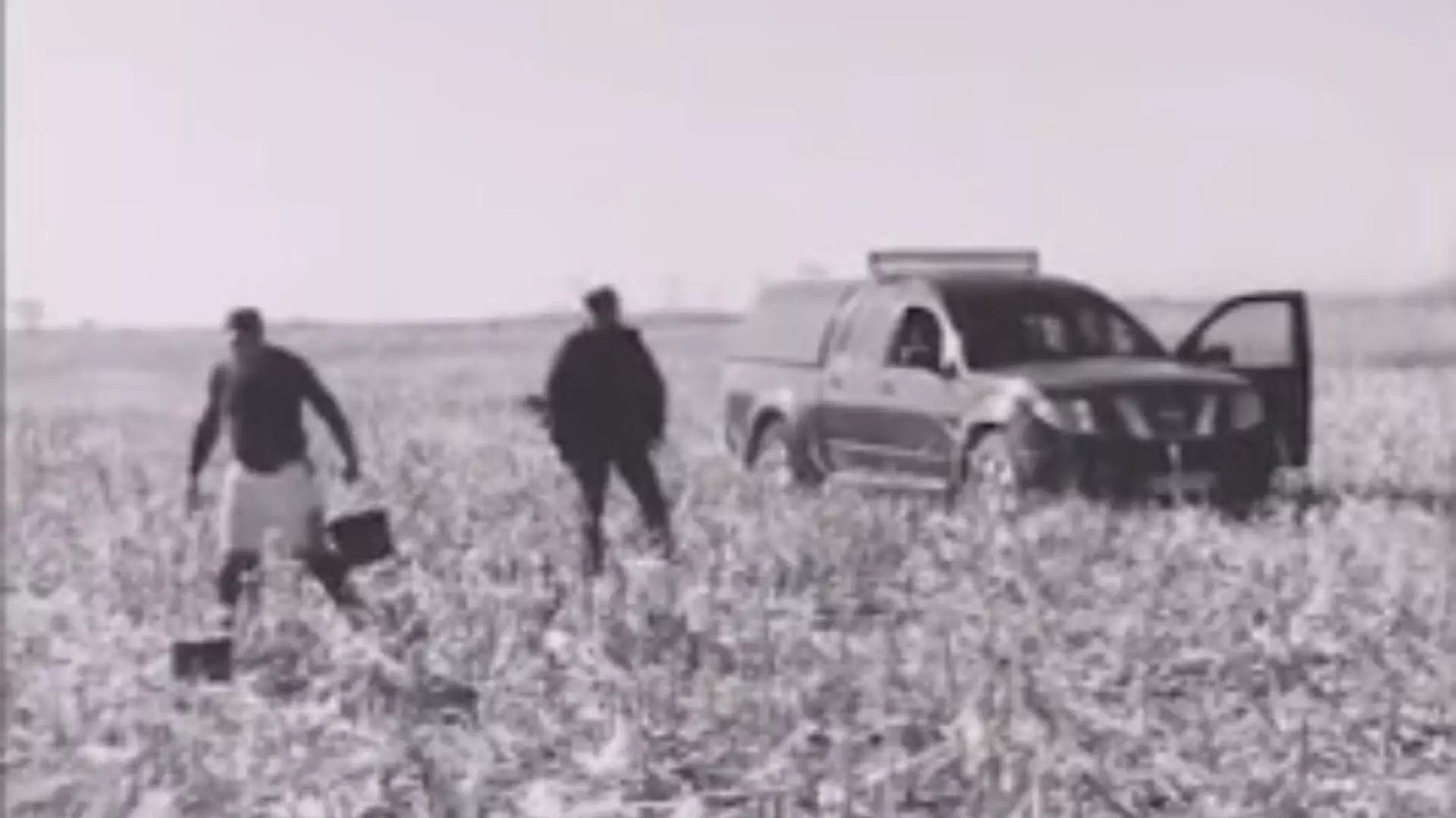 Captură video