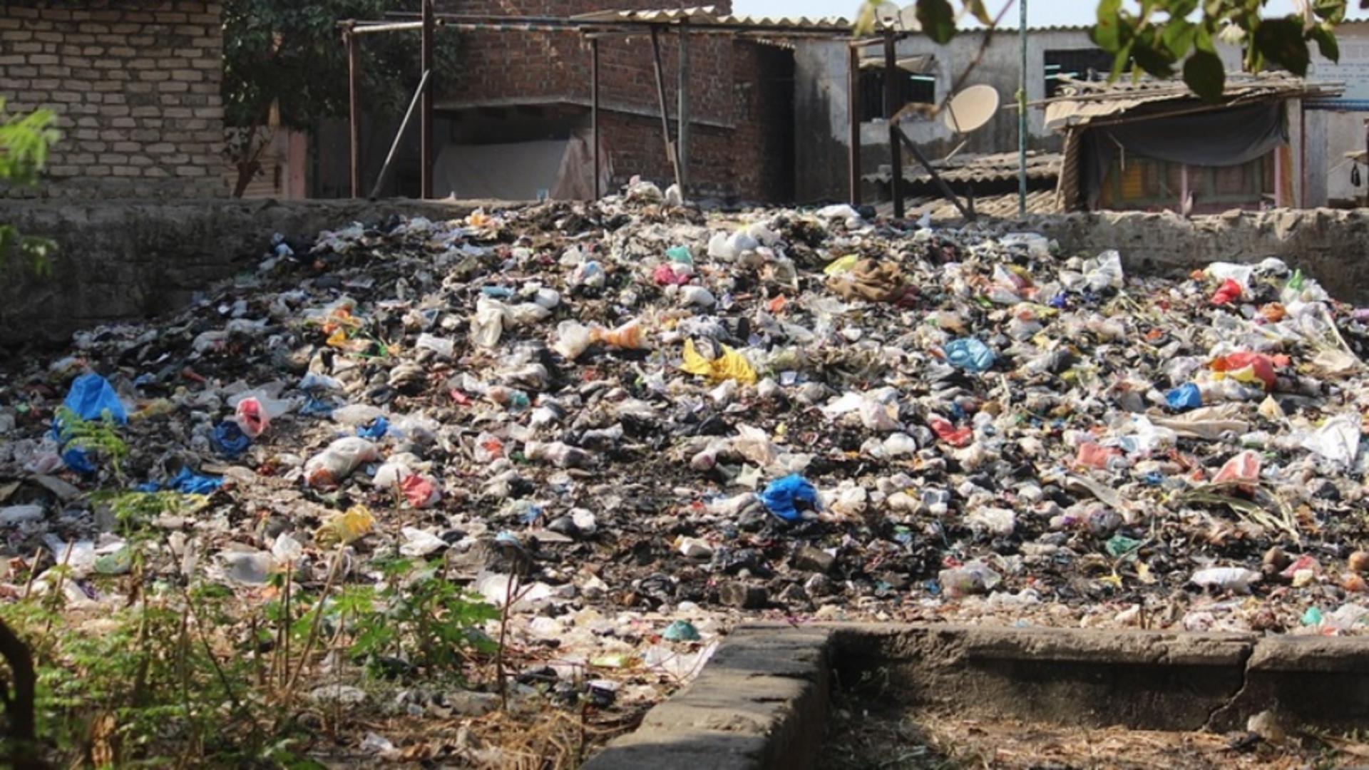 Comoară aruncată la gunoi