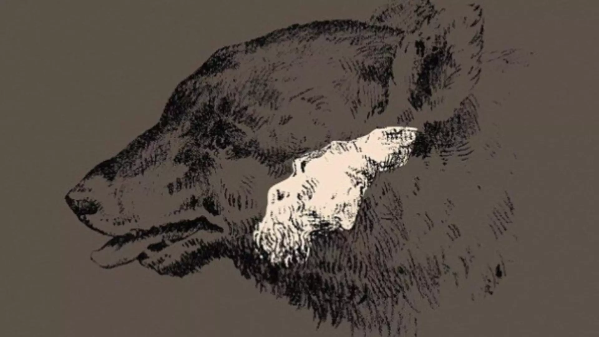 Iluzia optică veche de peste 100 de ani pe care numai geniile o descifrează 