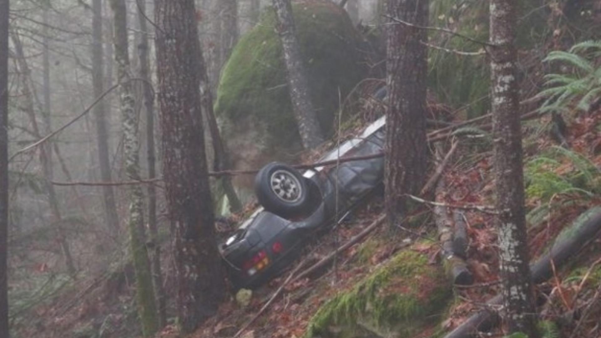O mașină dispărută în urmă cu 27 de ani, găsită în pădure, înfiptă într-un pom