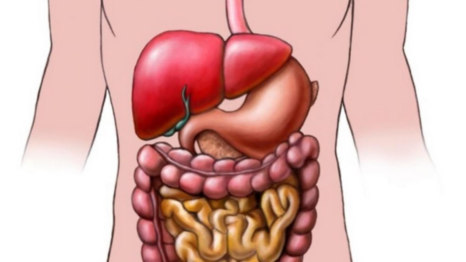 Leguma care îți curăță stomacul de toxine - regenerează digestia