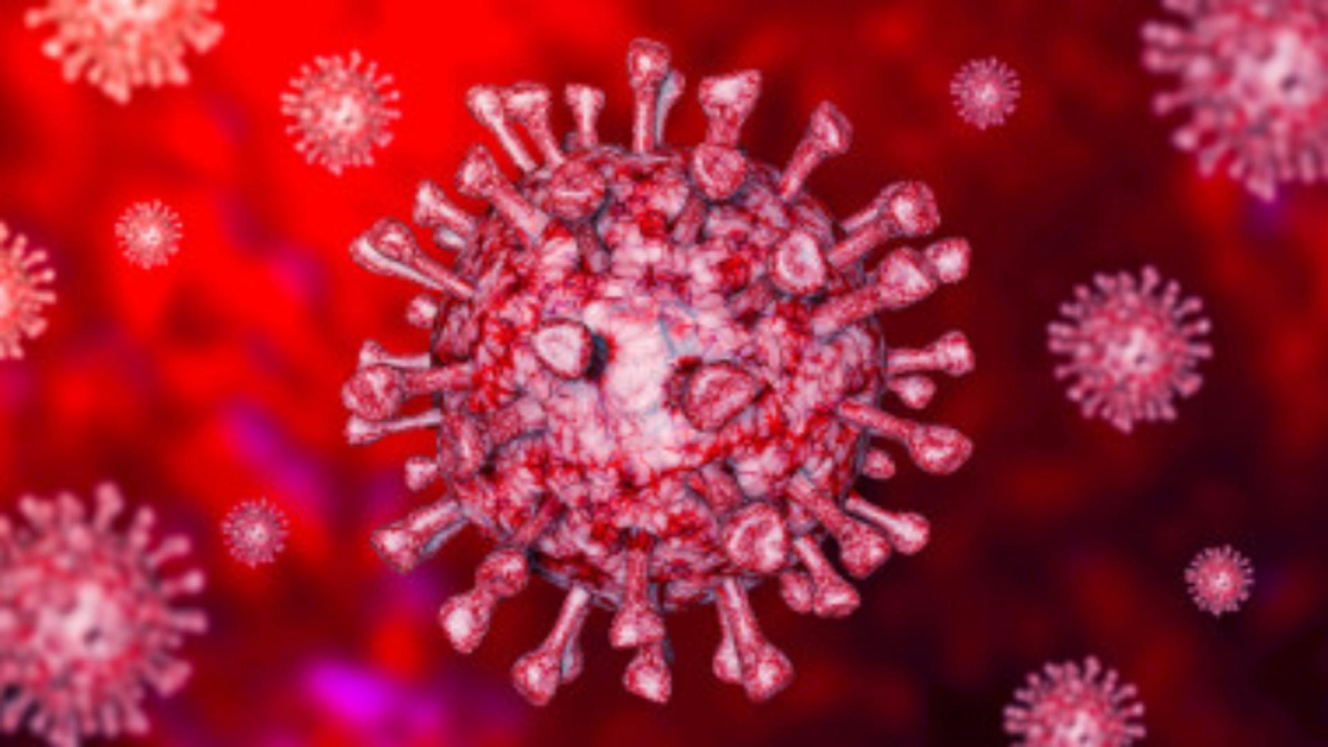 Bilanț coronavirus 31 ianuarie 2022