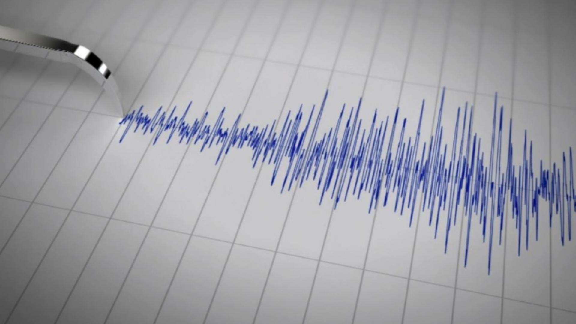 Cutremur în Vrancea, miercuri după amiază. Activitate seismică intensă
