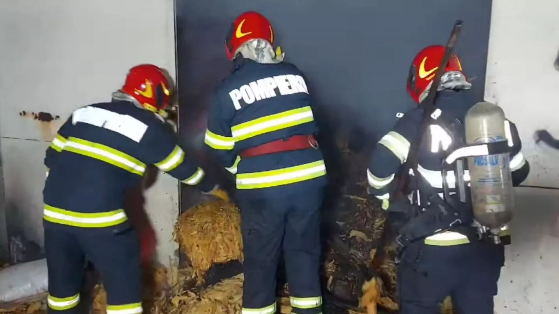 Două magazii din Vama Giurgiu au luat foc. Foto/Captură video