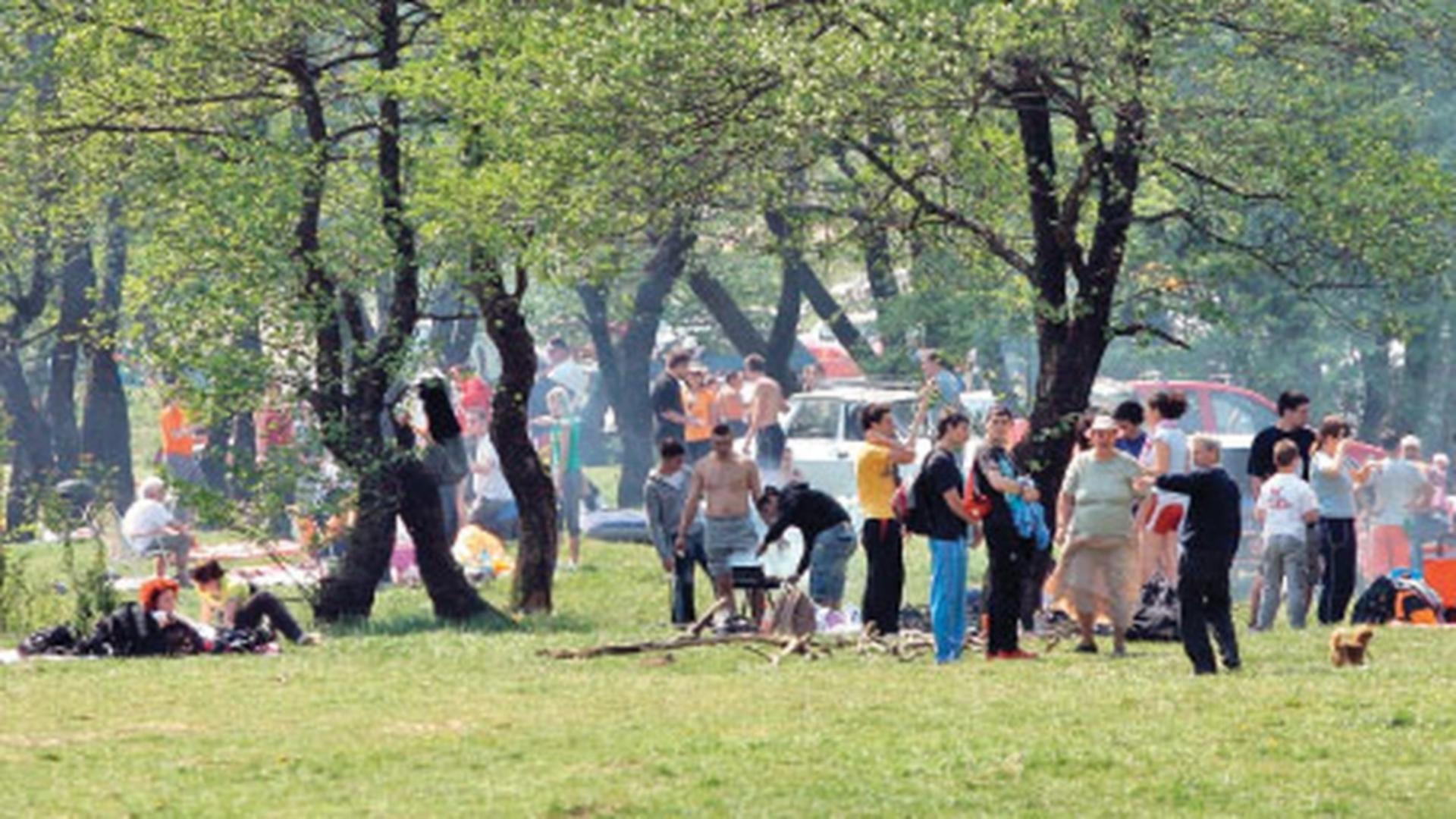 Români la iarbă verde