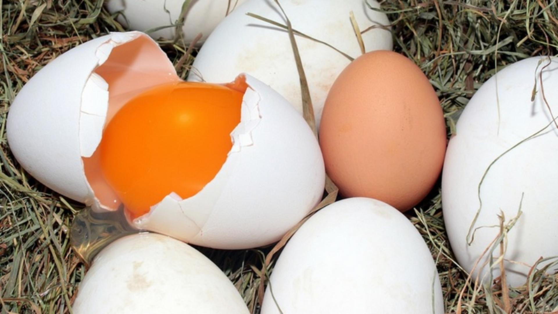 Cum îți dai seama că ouăle cumpărate sunt de la o găină bolnavă