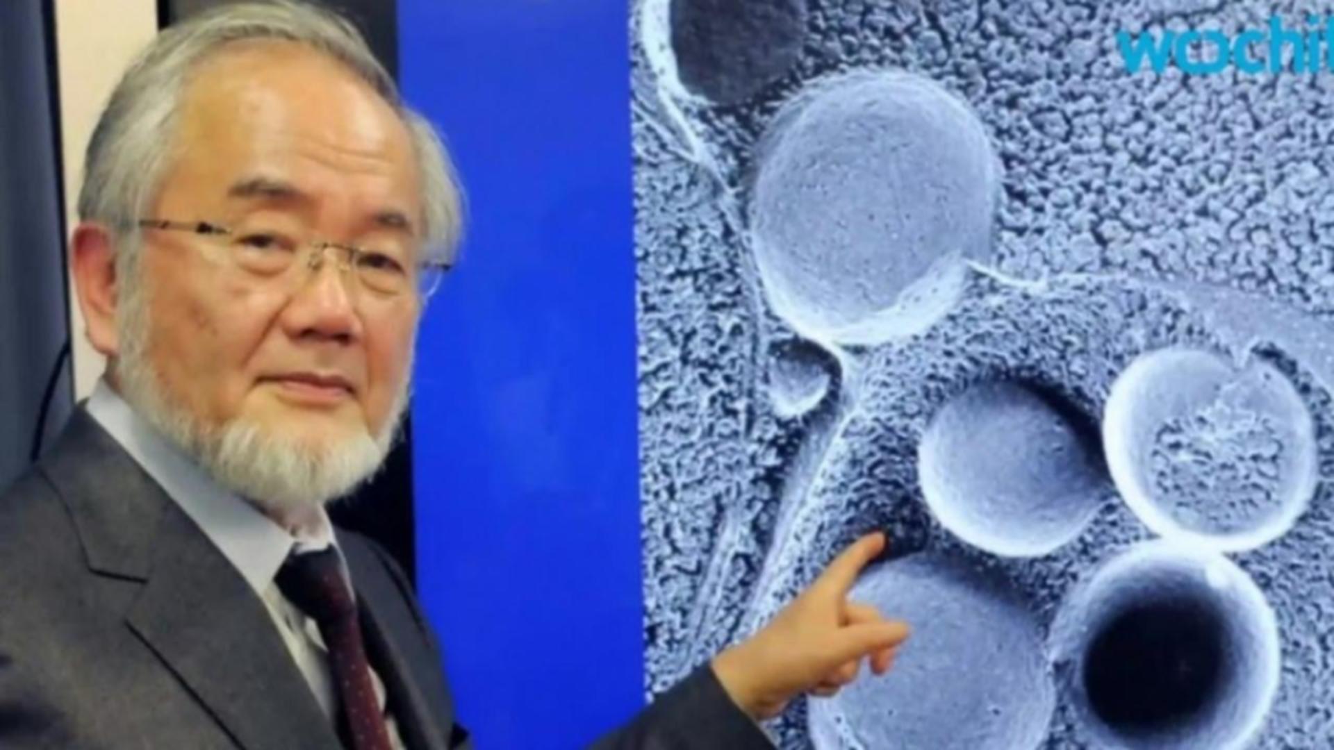 Dieta japonezului laureat al premiului Nobel: scazi rapid în greutate şi te ajută la regenerarea celulară