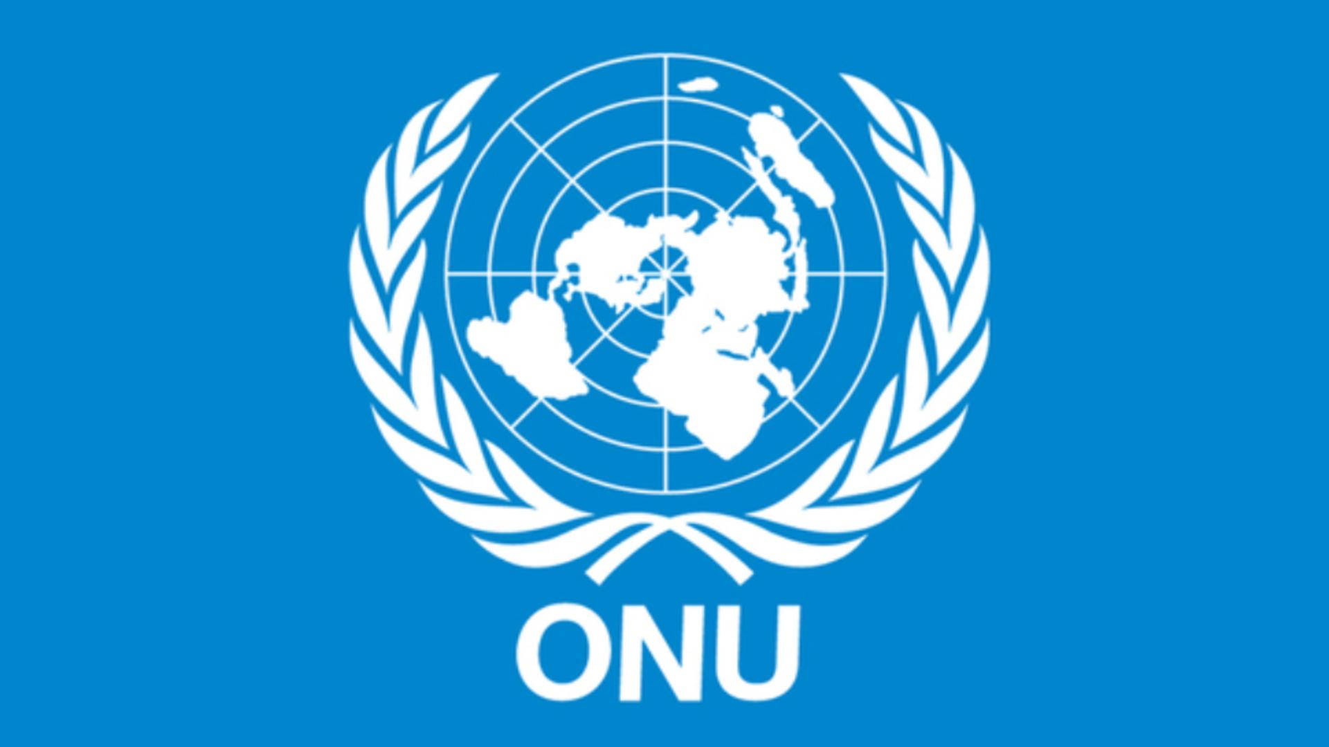 Organizația Națiunilor Unite (ONU)