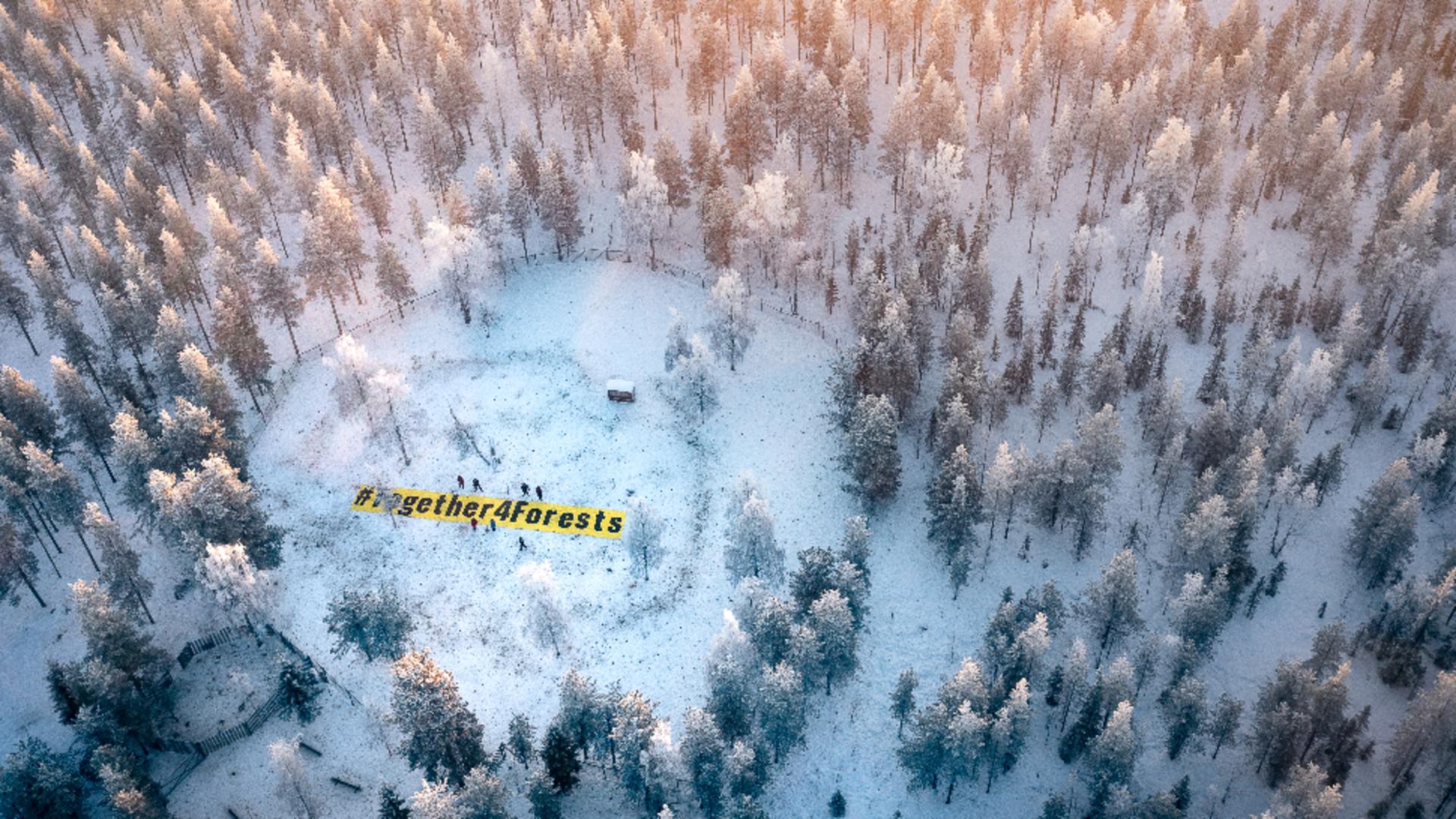 Suedia FOTO: Greenpeace 