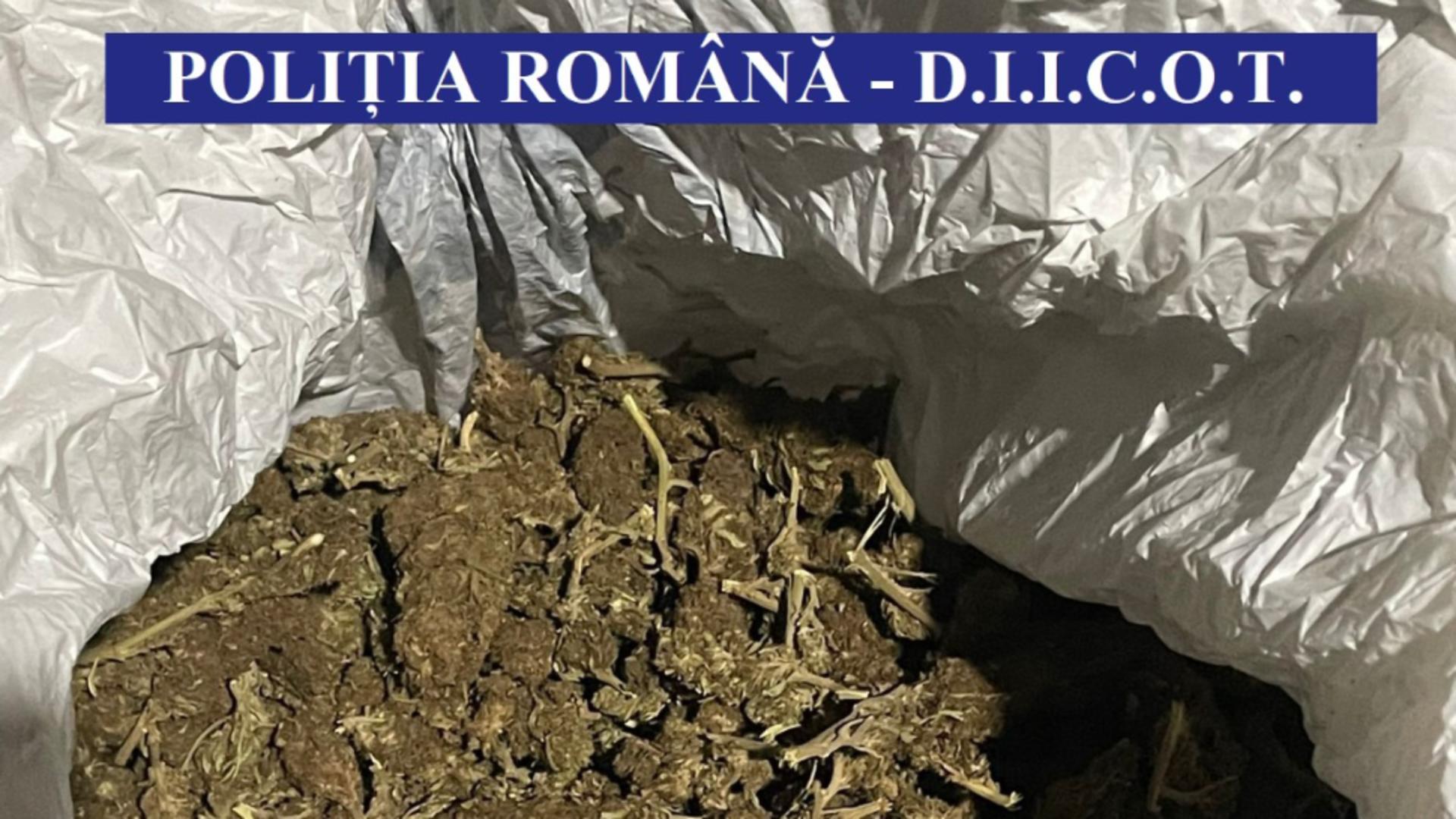 Captura droguri FOTO: Poliția Română 