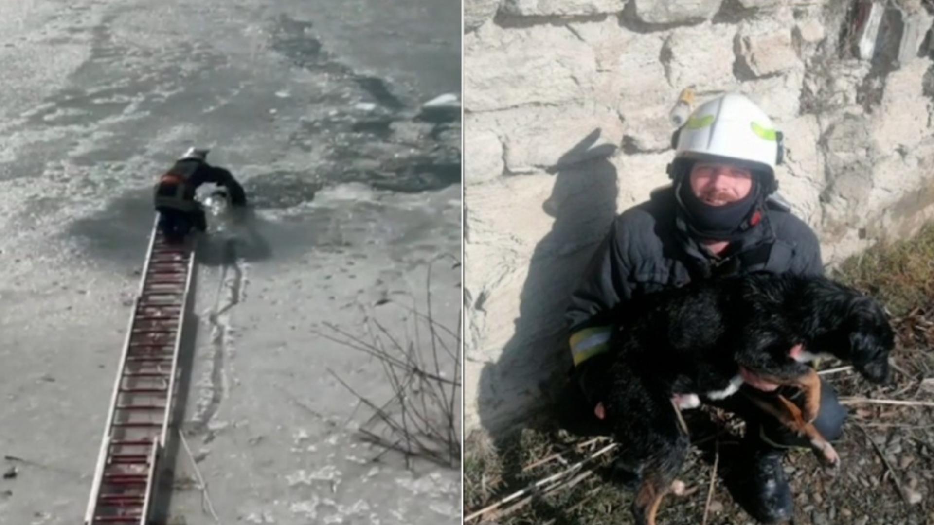 Intervenție spectaculoasă pe Siret a pompierilor pentru salvarea unui cățel - Imagini emoționante