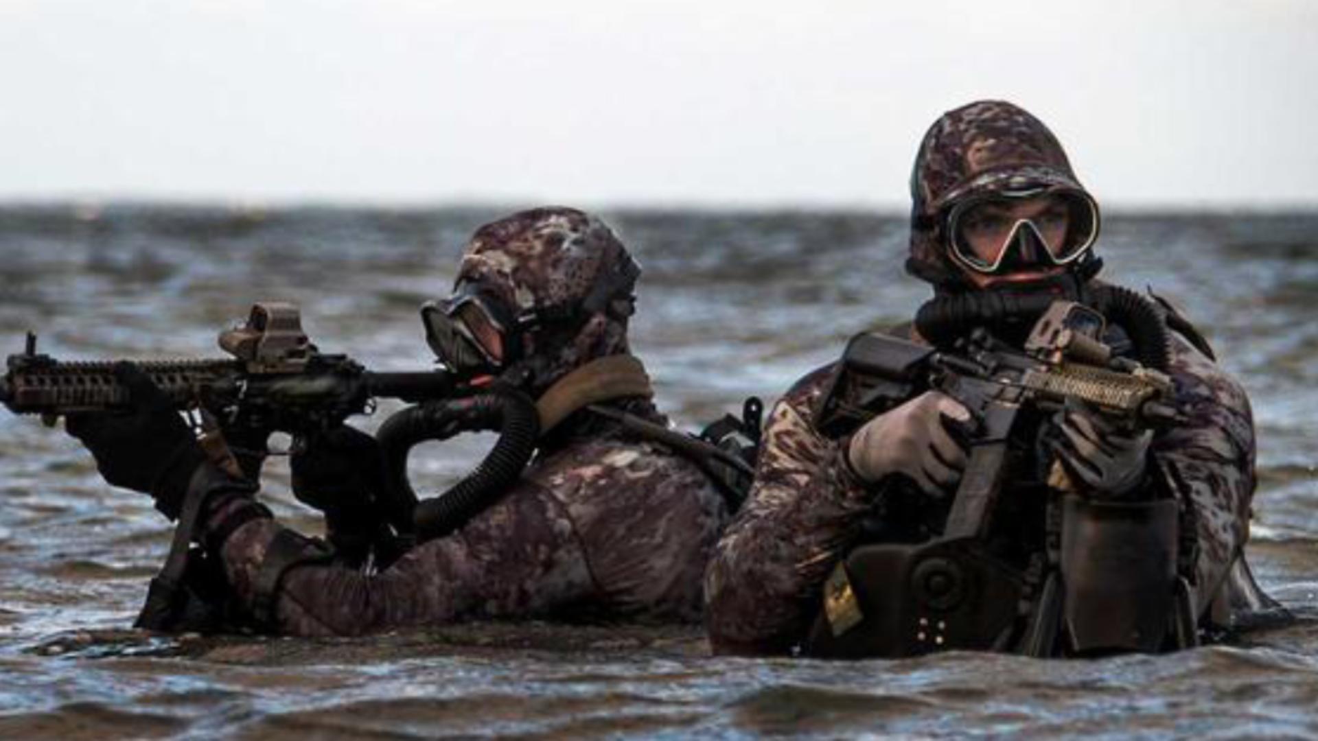 Navy Seal FOTO: Wiki