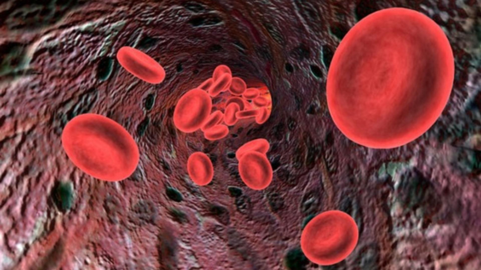 3 ingrediente care îți distrug sistemul imunitar și vasele de sânge