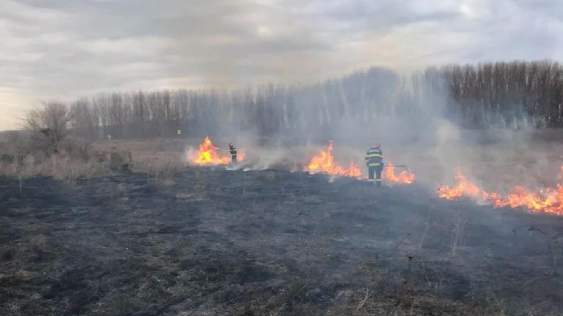 S-au înmulțit Incendiile de vegetație în zona Deltei. Foto/ISU Tulcea