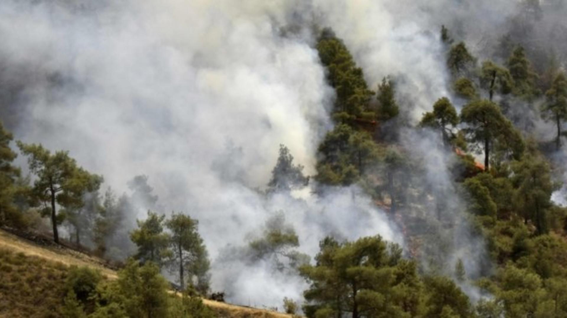 Incendiu forestier pe insula Samos din Grecia