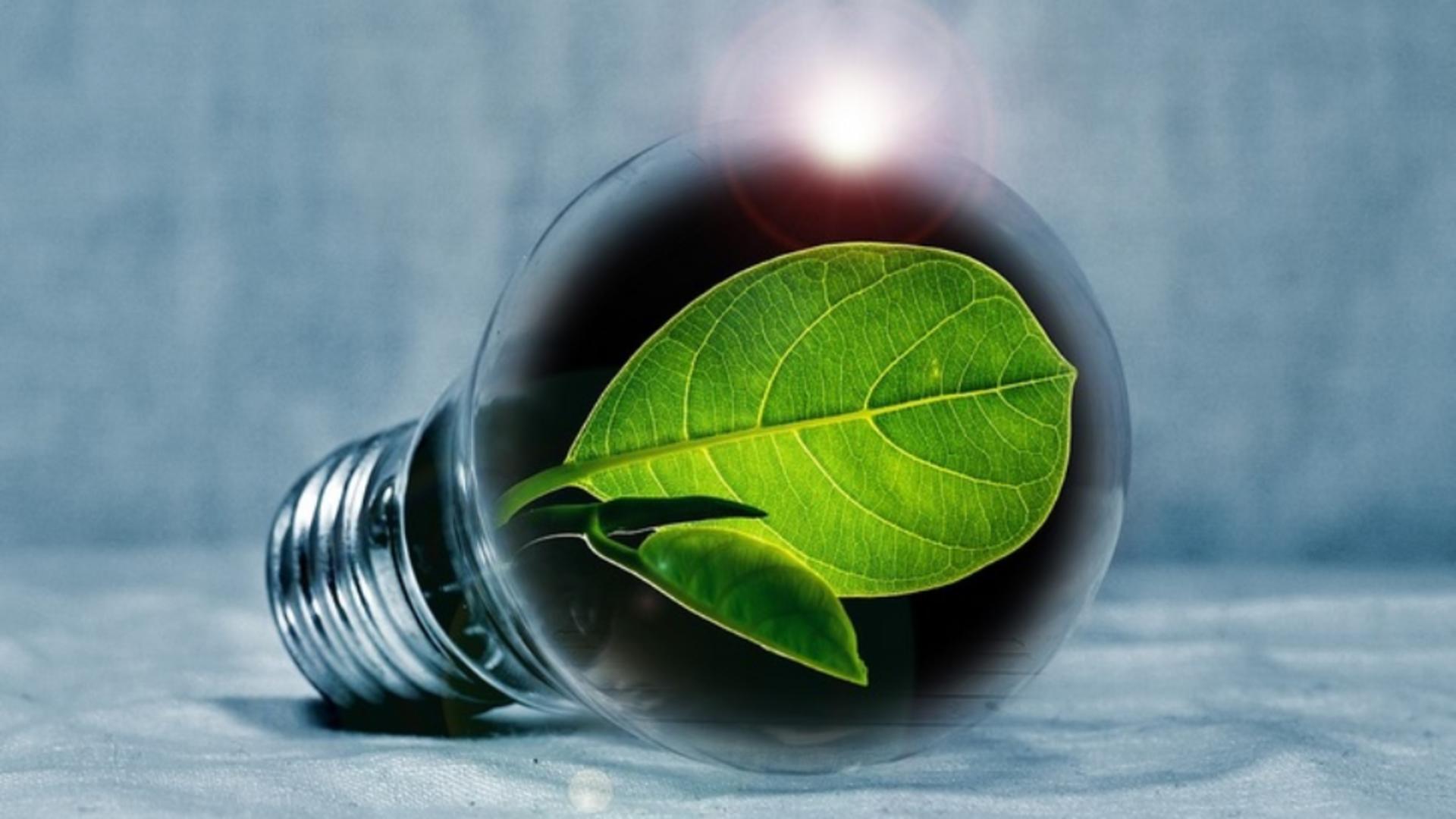 Miron Mitrea: Investițiile în energia verde sunt soluția și vor fi câștigătoare