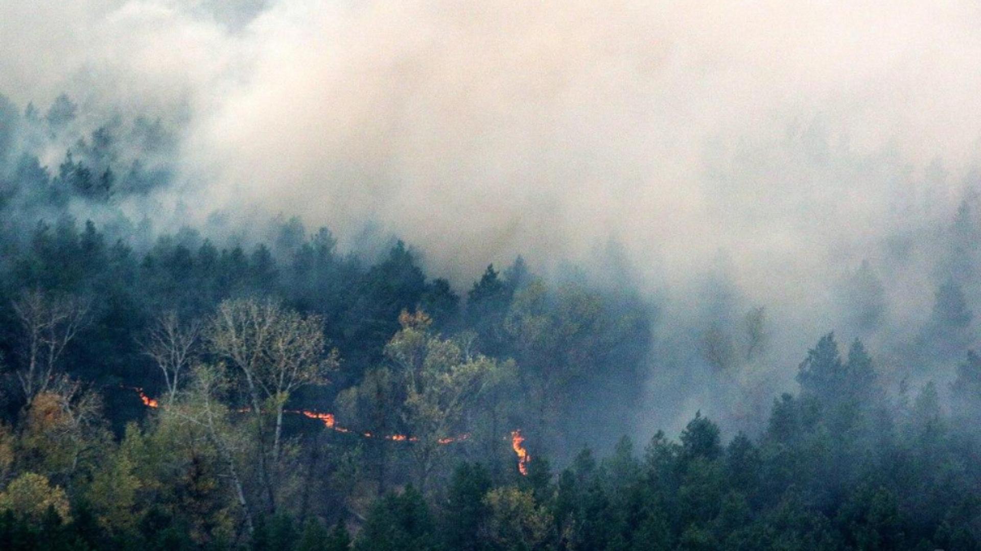 Incendii URIAȘE la pădurile din apropierea zonei Cernobîl: PERICOL iminent - Autoritățile române implicate în monitorizare