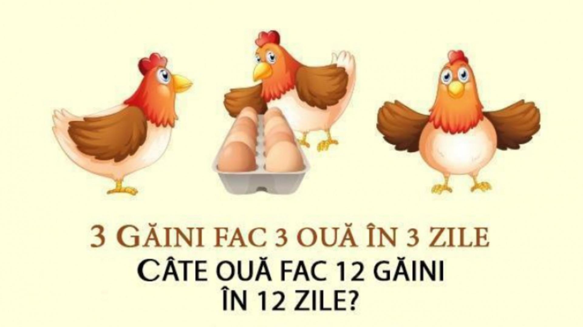 Problema de clasa I care dă bătăi de cap adulților. Câte ouă fac 12 găini în 12 zile?