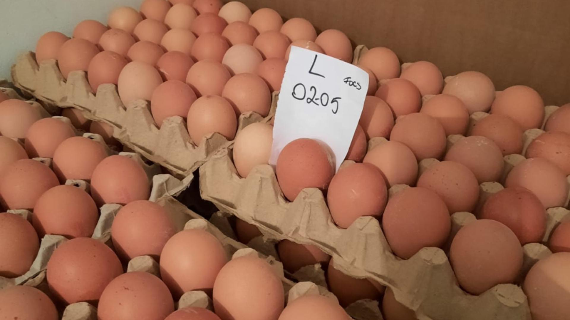 Ce nereguli au găsit comisarii la ouă