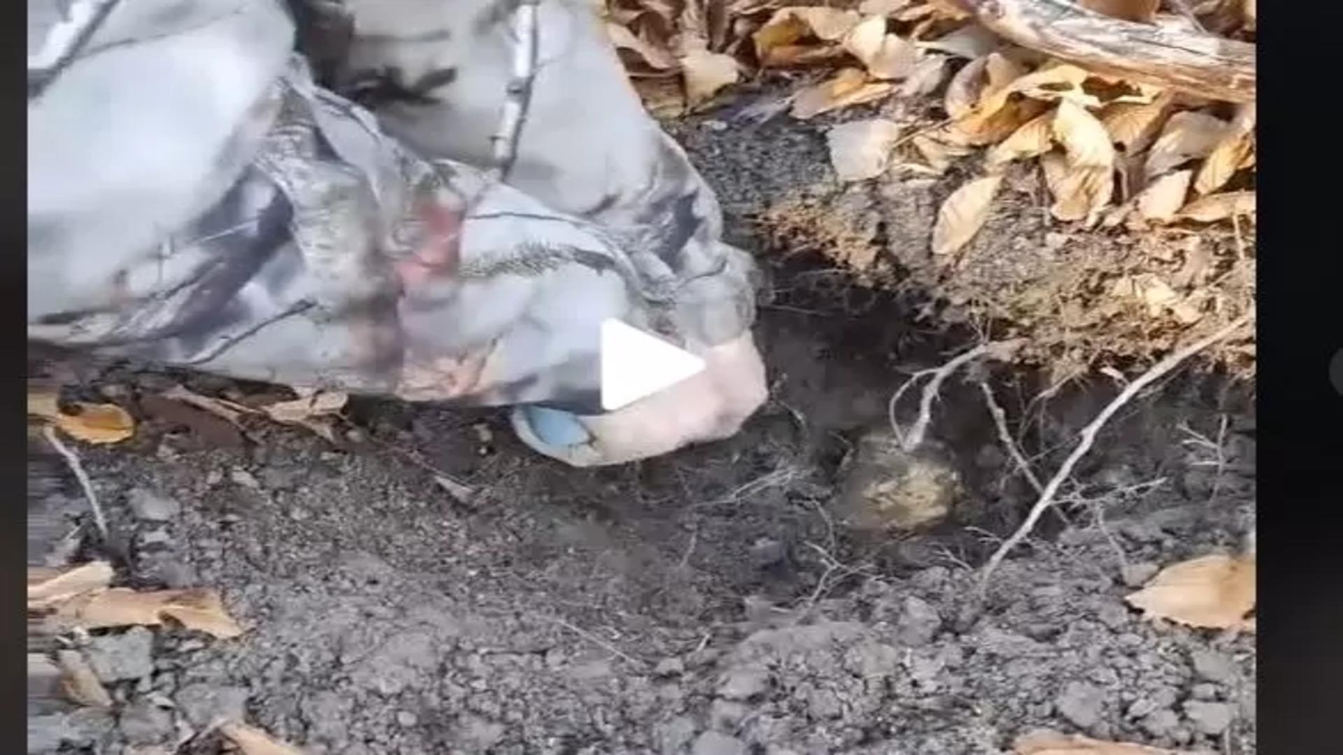 VIDEO – Un român a dat lovitură – A găsit în pământ ceva mai valoros decât aurul – Totul a fost filmat și clipul e viral