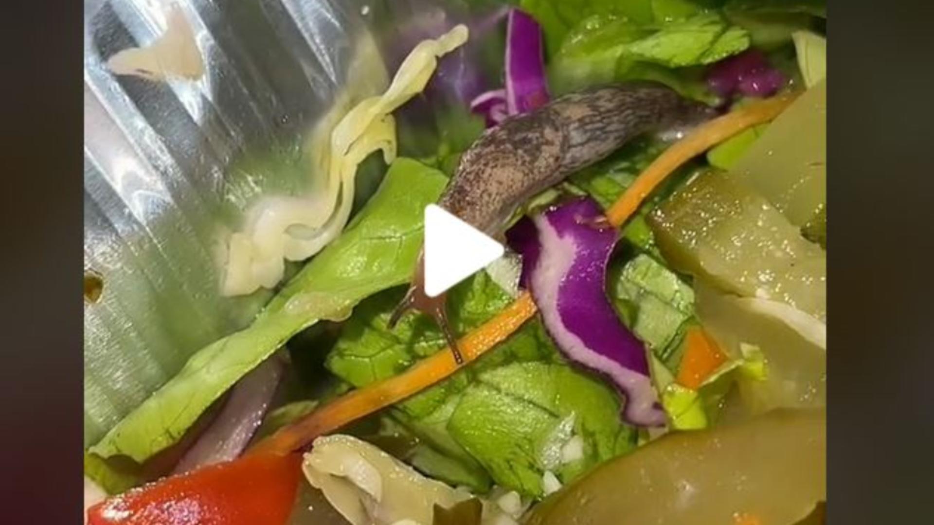 VIDEO – Ce a putut să găsească o cântăreața în salata comandată de la un restaurant din centrul Bucureștiului: Cum să nu-ți fie rău?