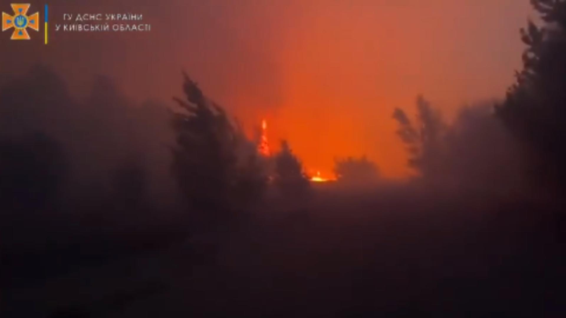 Incendiu pădure Cernobîl / Captură video