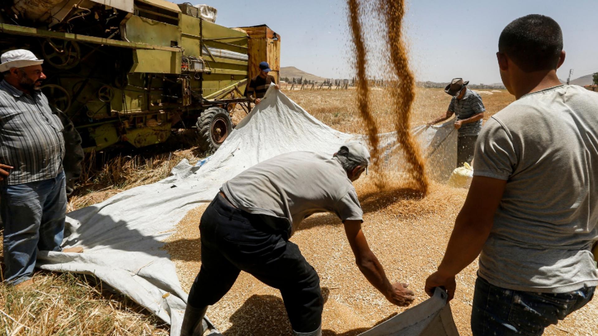 25 de milioane de tone de cereale blocate în Ucraina. Foto/Profimedia