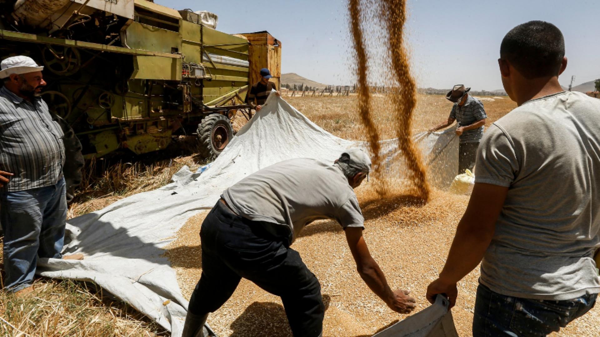 Rușii spun că nu ei blochează exporturile de cereale ale Ucrainei. Foto/Profimedia