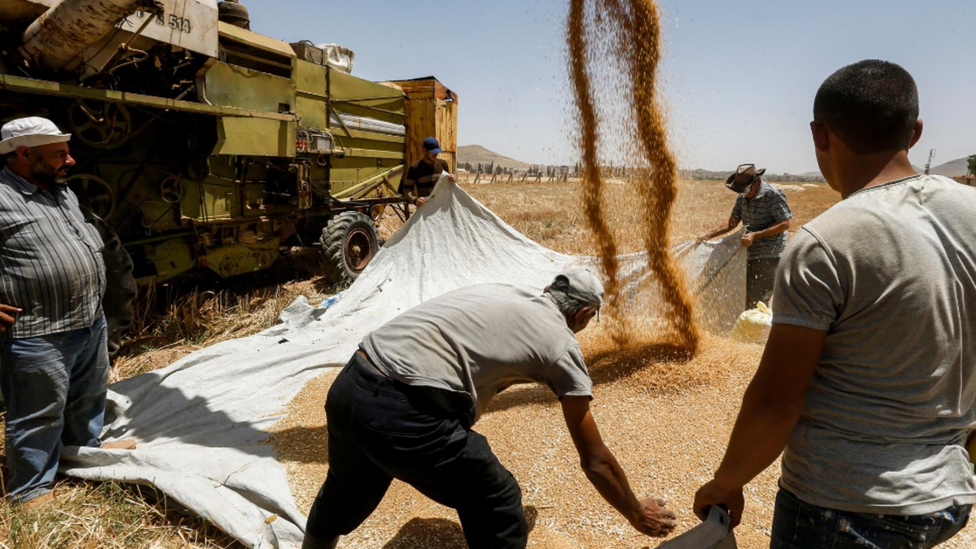 Turcia negociază cu rușii și ucrainenii rute pentru exportul de cereale. Foto/Profimedia
