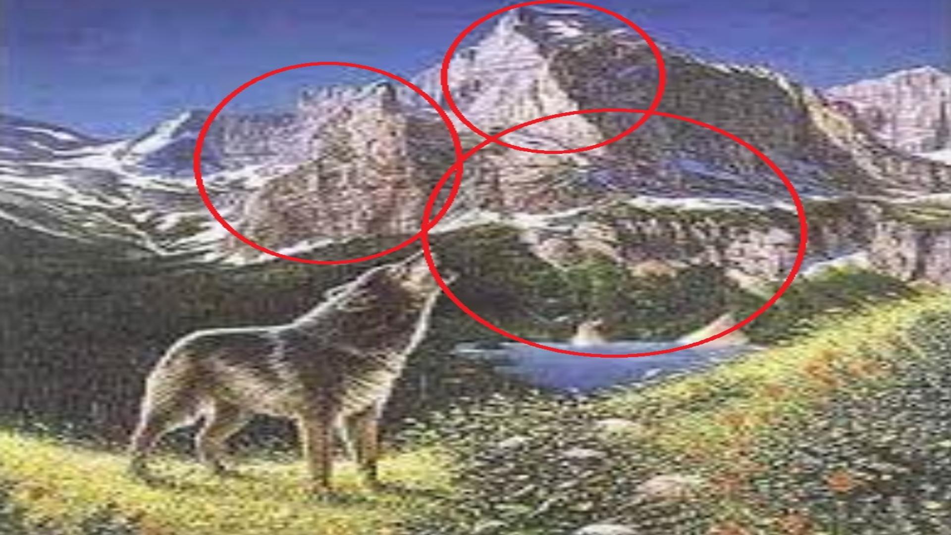 Iluzia optică perfectă - cea mai solicitantă probă: găsește cei 4 lupi!