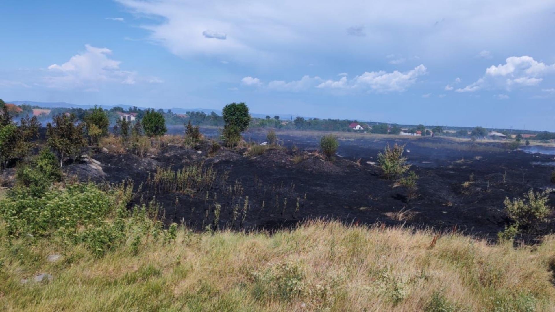 Incendiu de vegetație, în Arad: zeci de oameni evacuați 