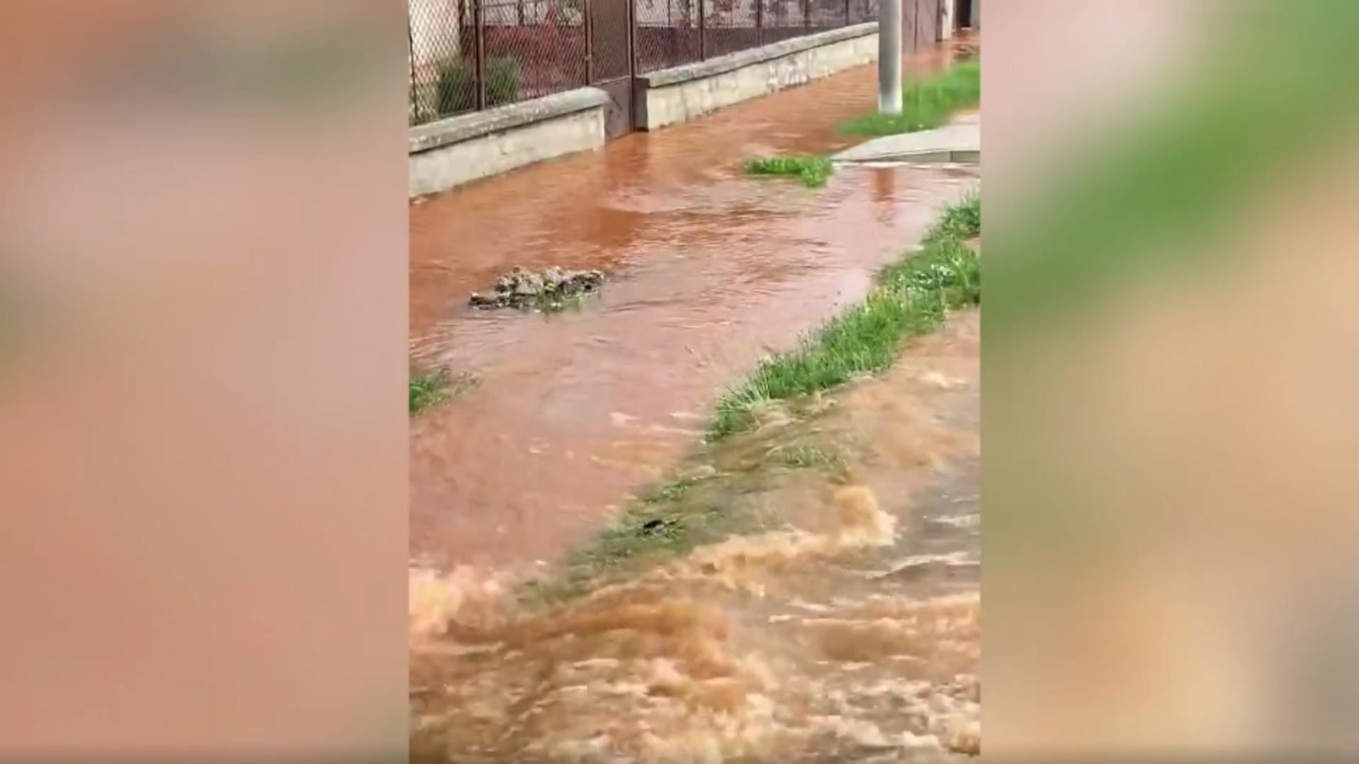 Străzi și case, inundate din cauza unei avarii, în Alba