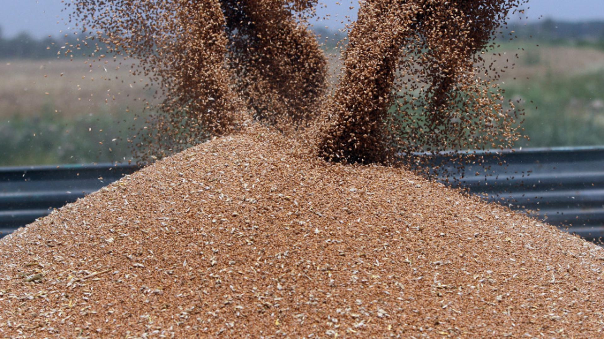 Criza cerealelor se prelungește. Foto/Arhivă  