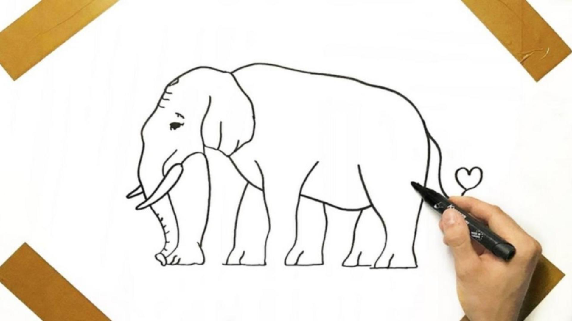 Iluzia optică perfectă! Ce este greșit la elefantul din imagine?
