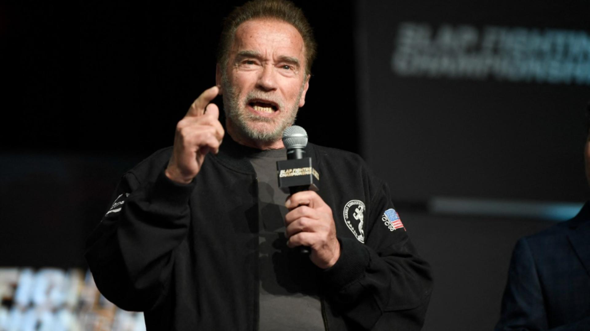 Arnold Schwarzenegger, critic la adresa Europei. Foto/Profimedia
