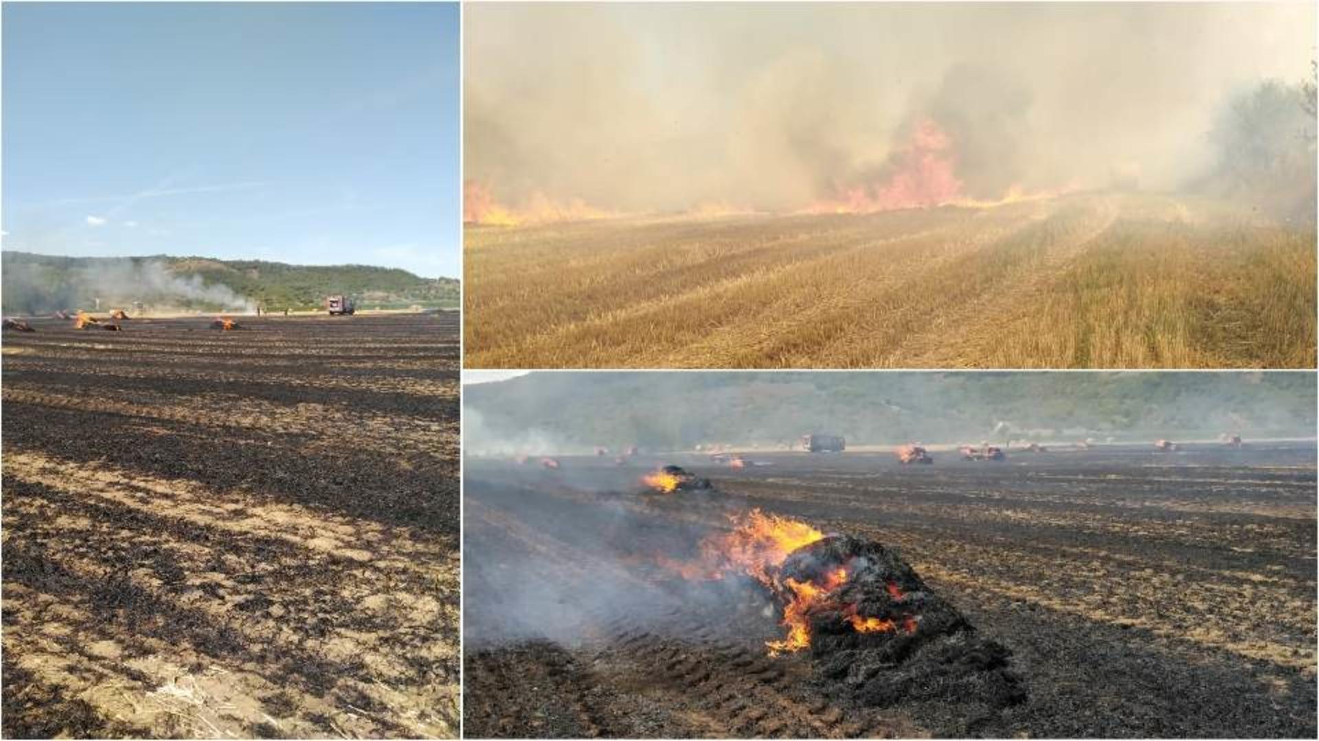 Incendiile de pe câmp fac ravagii în România.