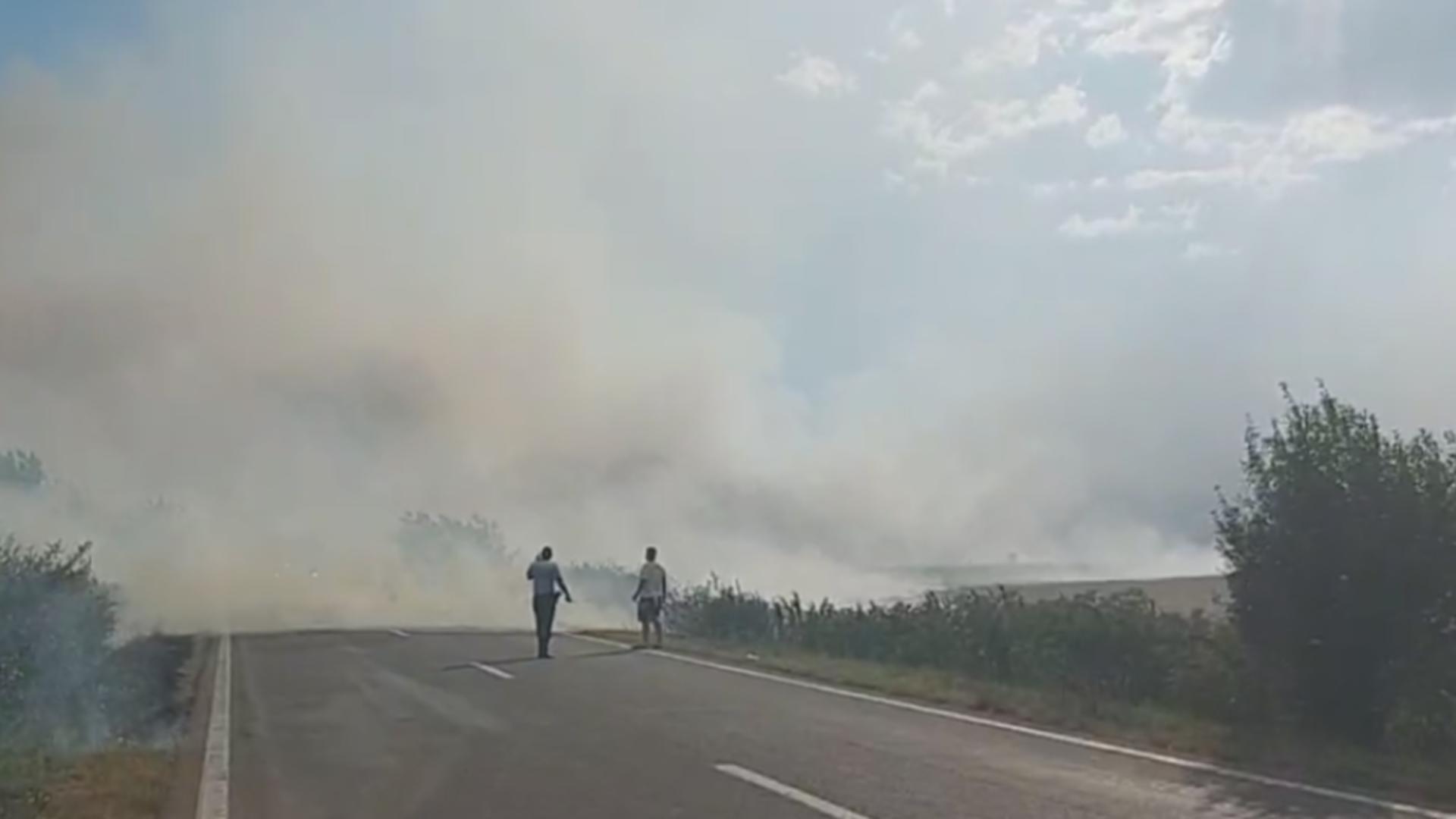 Incendiu vegetație / Captură video Facebook Impact News 24