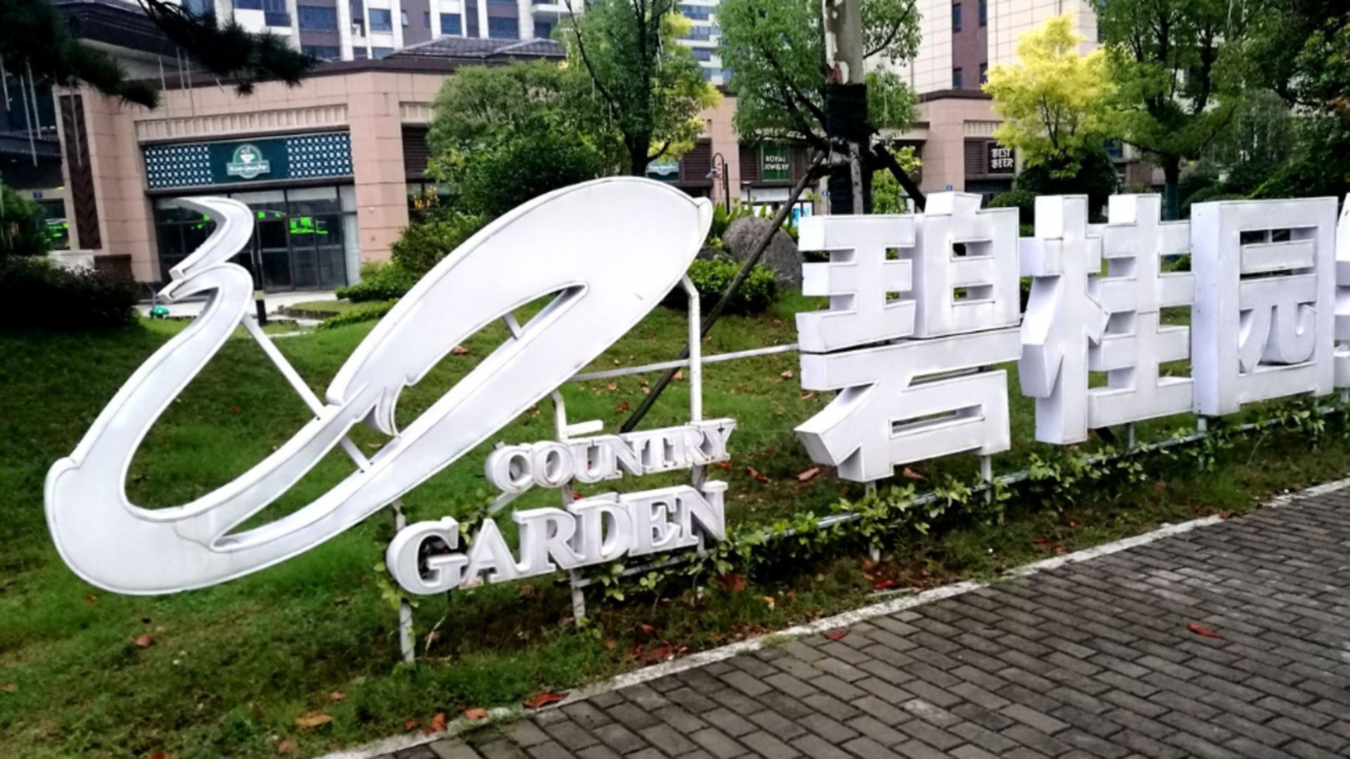 Yang Huiyan, acţionară majoritară la cel mai mare dezvoltator imobiliar din China, Country Garden. Foto/Profimedia